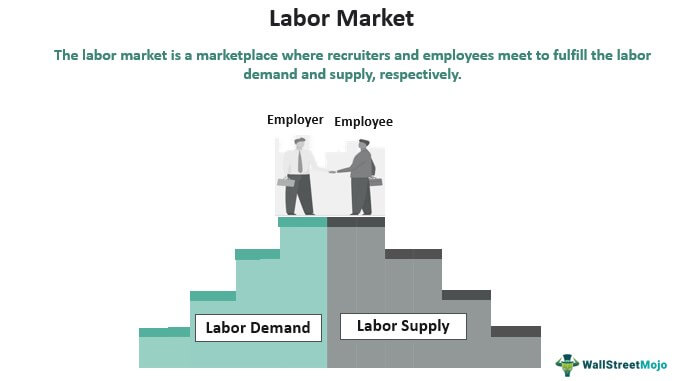 Future of the Labor Market: AI Impact on Jobs & Recruitment