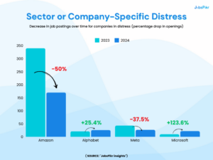 illustrating job posting declines and layoffs in the U.S. IT sector for 2024