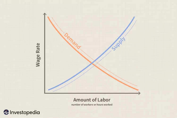 Understanding How the Labor Market Operates